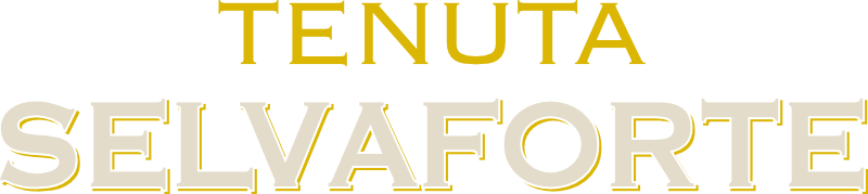Logo Alternativo Ridotto